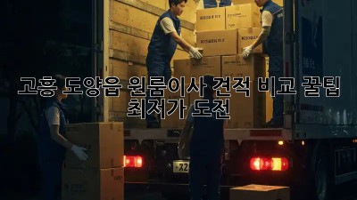 고흥 도양읍 원룸이사 견적 비교 꿀팁🍯 (최저가 도전!)