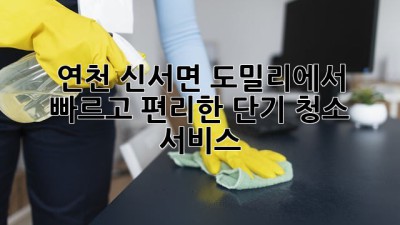 연천 신서면 도밀리에서 빠르고 편리한 단기 청소 서비스!